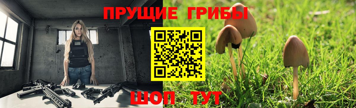 Магадан  Псилоцибиновые грибы Psilocybine cubensis  Вход с VPN  Галлюциногенные грибы Magic Shrooms 